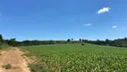 Foto 4 de Fazenda/Sítio com 1 Quarto à venda, 1m² em Area Rural de Sorocaba, Sorocaba