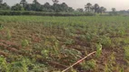 Foto 24 de Fazenda/Sítio com 3 Quartos à venda, 65000m² em Planaltina, Brasília