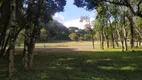 Foto 43 de Fazenda/Sítio à venda, 39000m² em JARDIM CECILIA, Campo Magro