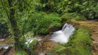 Foto 21 de Fazenda/Sítio com 3 Quartos à venda, 80000m² em Visconde de Mauá, Resende