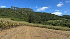 Foto 8 de Fazenda/Sítio à venda, 30000m² em Zona Rural, Campo Alegre