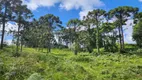 Foto 2 de Fazenda/Sítio à venda, 46000m² em Centro, Bom Retiro