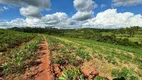 Foto 20 de Fazenda/Sítio com 3 Quartos à venda, 254100m² em Zona Rural, Jacutinga