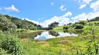 Foto 13 de Fazenda/Sítio com 2 Quartos à venda, 450000m² em Centro, Rio Rufino