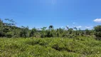 Foto 5 de Fazenda/Sítio à venda, 40000m² em Rio Vermelho Estação, São Bento do Sul