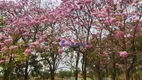 Foto 3 de Fazenda/Sítio com 1 Quarto à venda, 300000m² em Jardim Ouro Verde, São José do Rio Preto