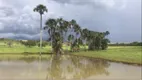 Foto 2 de Fazenda/Sítio à venda, 8352000m² em Ipiranga, Alvorada do Norte