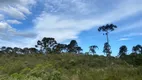 Foto 12 de Lote/Terreno à venda, 1360000m² em Zona Rural, Urubici