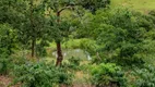 Foto 17 de Fazenda/Sítio com 3 Quartos à venda, 27000m² em Jardim Primavera 2 Etapa, Anápolis