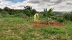 Foto 5 de Lote/Terreno à venda, 4000m² em Jardim Palestina, Franca