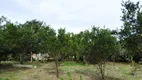 Foto 13 de Fazenda/Sítio com 1 Quarto à venda, 3000m² em Baía Formosa, Cabo Frio