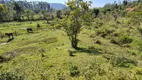 Foto 12 de Fazenda/Sítio à venda, 6000m² em Zona Rural, Paulo Lopes