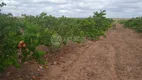 Foto 4 de Fazenda/Sítio à venda, 200m² em Centro, São Bento do Norte