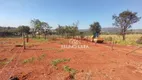 Foto 4 de Lote/Terreno à venda, 420m² em Residencial Ouro Velho, Igarapé