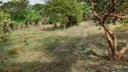 Foto 9 de Fazenda/Sítio com 3 Quartos à venda, 100m² em Parque Lago Azul, Pindamonhangaba
