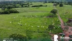 Foto 7 de Fazenda/Sítio à venda, 1098m² em Zona Rural, Barrolândia