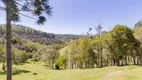 Foto 53 de Fazenda/Sítio com 3 Quartos à venda, 145m² em Zona Rural, Campina Grande do Sul