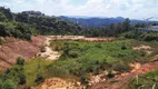 Foto 21 de Lote/Terreno à venda, 20000m² em Distrito Industrial, Araçariguama
