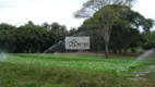 Foto 11 de Fazenda/Sítio com 3 Quartos à venda, 20000m² em Campo Verde, Mário Campos