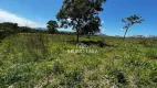 Foto 8 de Lote/Terreno à venda, 9000m² em RANCHO TRÊS LAGOAS, Igarapé