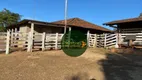 Foto 29 de Fazenda/Sítio à venda, 2565200m² em Zona Rural, Trindade