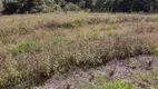 Foto 9 de Fazenda/Sítio com 2 Quartos à venda, 121000m² em Zona Rural, Monte Santo de Minas