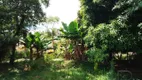 Foto 12 de Fazenda/Sítio com 1 Quarto à venda, 170250m² em Ribeirão da Ilha, Florianópolis