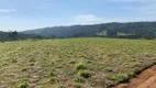 Foto 2 de Lote/Terreno à venda, 1000m² em Vale da Esperanca, Mairinque