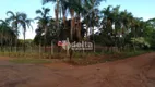 Foto 7 de Fazenda/Sítio com 1 Quarto à venda, 5000m² em Panorama, Uberlândia