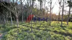 Foto 7 de Fazenda/Sítio com 2 Quartos à venda, 314000m² em Zona Rural, Jacutinga