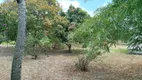 Foto 6 de Fazenda/Sítio com 5 Quartos à venda, 3600m² em Jardim Petropolis, Gravatá