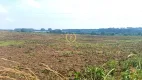 Foto 4 de Lote/Terreno à venda, 20000m² em Campo Largo da Roseira, São José dos Pinhais