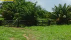 Foto 50 de Fazenda/Sítio com 3 Quartos à venda, 977000m² em Zona Rural, Nova Crixás