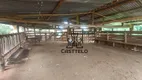 Foto 15 de Fazenda/Sítio com 2 Quartos à venda, 133100m² em , Tamarana