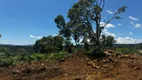 Foto 3 de Fazenda/Sítio à venda, 20000m² em , Urubici