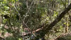 Foto 2 de Fazenda/Sítio à venda, 40000m² em Zona Rural, Alto Paraíso de Goiás