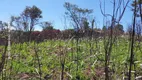 Foto 18 de Lote/Terreno à venda, 1840m² em Chacara Fernao Dias, Bragança Paulista