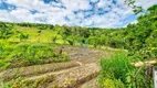 Foto 14 de Fazenda/Sítio com 3 Quartos à venda, 33000m² em Pinheirinhos, Santo Antônio da Patrulha