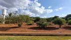 Foto 53 de Fazenda/Sítio com 10 Quartos à venda, 800m² em Area Rural de Inhumas, Inhumas