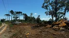 Foto 6 de Fazenda/Sítio à venda, 20000m² em , Urubici