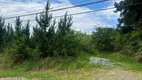 Foto 3 de Lote/Terreno à venda, 4973m² em Moinho Velho, Cotia