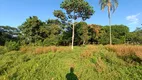 Foto 25 de Fazenda/Sítio com 3 Quartos à venda, 80m² em Zona Rural, Aragoiânia