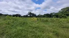 Foto 9 de Fazenda/Sítio com 5 Quartos à venda, 2060000m² em Area Rural de Rondonopolis, Rondonópolis