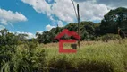 Foto 18 de Fazenda/Sítio com 4 Quartos à venda, 600m² em Sebandilha, Mairinque