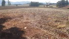 Foto 14 de Fazenda/Sítio com 1 Quarto à venda, 847000m² em Recanto das Rosas, Pouso Alegre