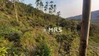 Foto 34 de Lote/Terreno à venda, 180000m² em Moura, Canelinha