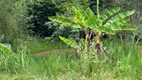 Foto 38 de Fazenda/Sítio com 4 Quartos para venda ou aluguel, 400m² em Alpes de Bom Jesus, Bom Jesus dos Perdões