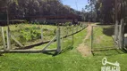 Foto 5 de Fazenda/Sítio com 2 Quartos à venda, 18700m² em Campestre da Faxina, São José dos Pinhais