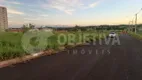 Foto 4 de Lote/Terreno à venda, 250m² em Loteamento Luizote IV, Uberlândia