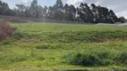 Foto 4 de Lote/Terreno à venda, 1000m² em Observatorio, Vinhedo